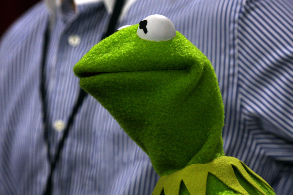 After 27 years, The Muppets hire a new Kermit