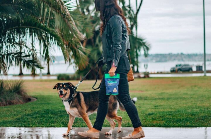 model holding a food product walks with a dog