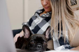 Unleashing the Power of Pet PR: How to Connect with Animal Lovers