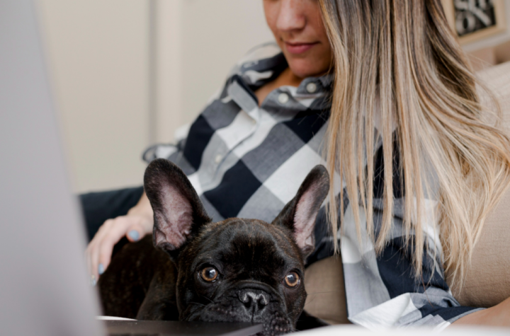 Unleashing the Power of Pet PR: How to Connect with Animal Lovers
