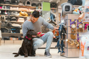 PetSmart’s eCommerce: Building a Brand Beyond the Store