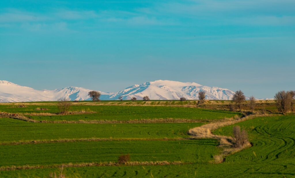 Green fields and mountains