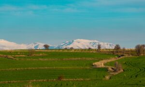 Green fields and mountains