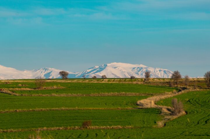 Green fields and mountains