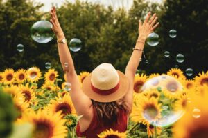 summer sunflowers outdoors