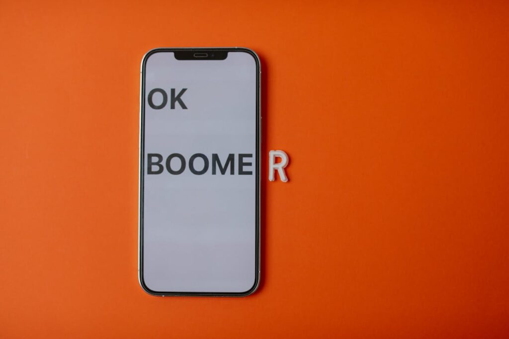 ok boomer meme
